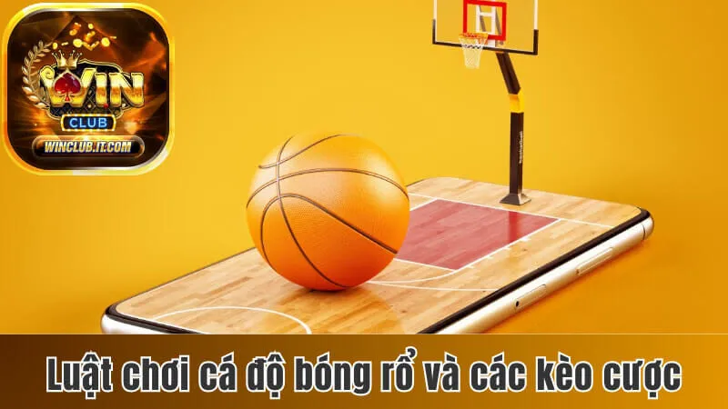 Luật Chơi Cá Độ Bóng Rổ - Giới Thiệu Các Kèo Cược Đặc Biệt 25 Cá độ bóng rổ