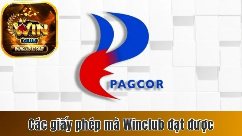 Winclub – Nhà cái cá cược chuyên nghiệp, đổi thưởng siêu tốc 2025 169 Các giấy phép mà Winclub đạt được
