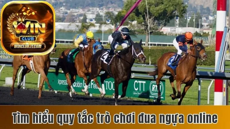 Đua Ngựa Online - Quy Tắc, Kèo Cược và Luật Thanh Toán 1 Đua ngựa online