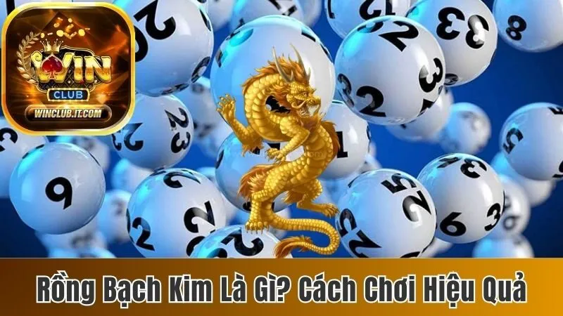 Rồng Bạch Kim Là Gì? 4 Phương Pháp Tìm Con Lô Hiệu Quả 73 Rồng bạch kim là gì